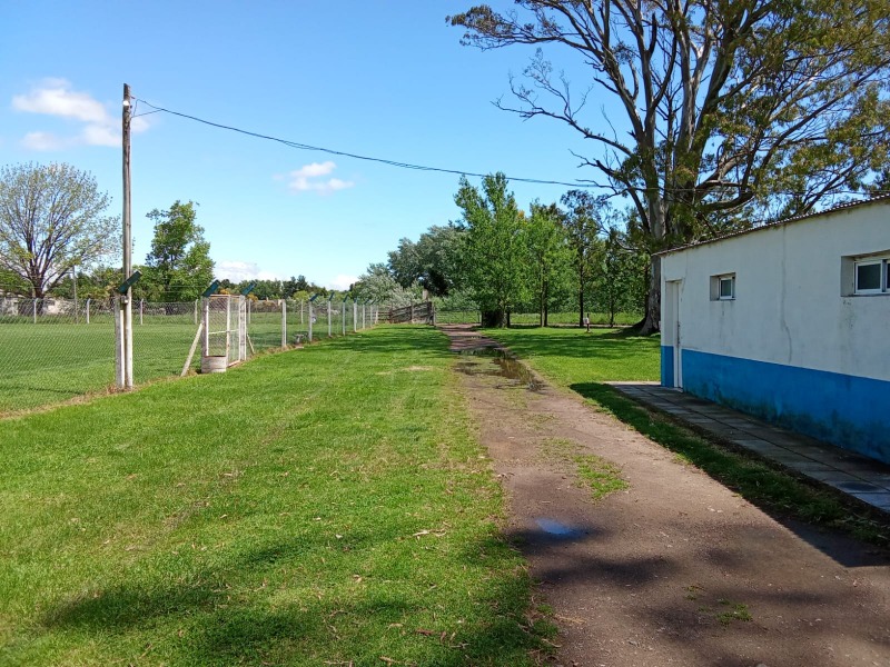 Horas decisivas para el Club Colonias y Cerros